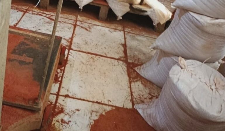 Fezes de ratos são encontradas em fábricas de temperos na Bahia; saiba detalhes