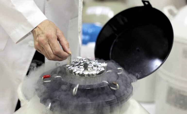 Doador de sêmen com gene cancerígeno gerou 197 filhos na Europa