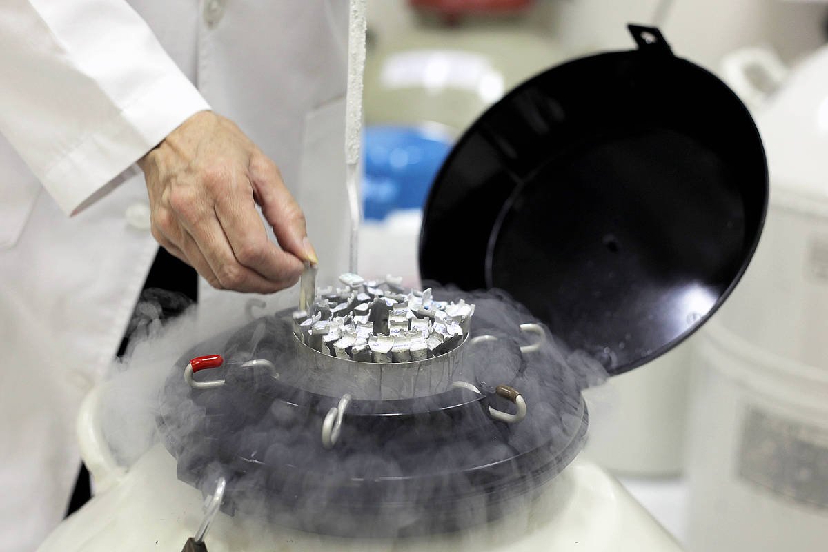 Doador de sêmen com gene cancerígeno gerou 197 filhos na Europa