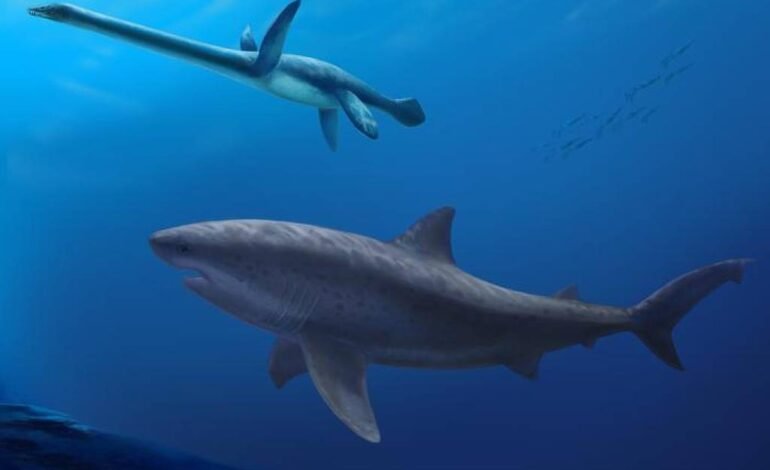 Cientistas encontram fóssil de tubarão de 8 metros que viveu há 115 milhões de anos