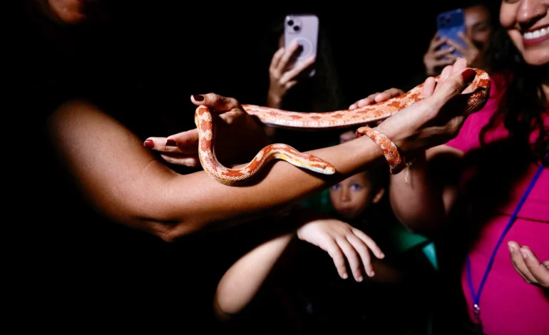 Zoo Noturno abre programação de 2026 com edição especial em Salvador