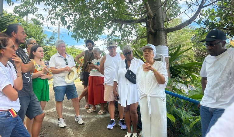 Ato em Salvador defende baobás sagrados e árvores ameaçadas no Rio Vermelho