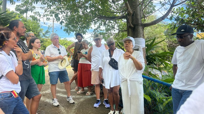 Ato em Salvador defende baobás sagrados e árvores ameaçadas no Rio Vermelho