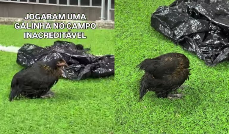Torcedores do Bahia jogam galinha no gramado durante Ba-Vi